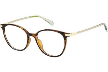 Glasses Polaroid PLDD459/G 086 Cat Eye Havanna