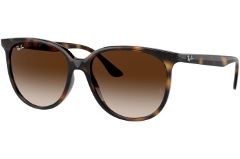 Sonnenbrille Ray-Ban RB4378 710/13 Quadratisch Havanna