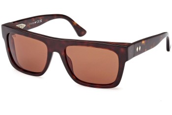 Sonnenbrille Web WE0334 52E Quadratisch Havanna