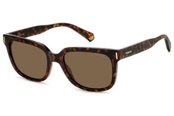 Sunglasses Polaroid PLD6191/S 086/SP Polarized Quadratisch Havanna