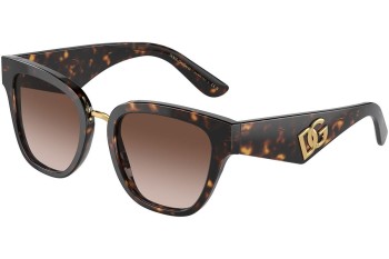 Sunglasses Dolce & Gabbana DG4437 502/13 Cat Eye Havanna