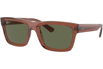 Sunglasses Ray-Ban Warren RB4396 66789A Rechteck Braun