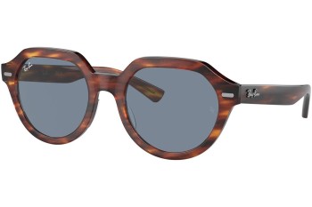 Sunglasses Ray-Ban Gina RB4399 954/62 Quadratisch Havanna