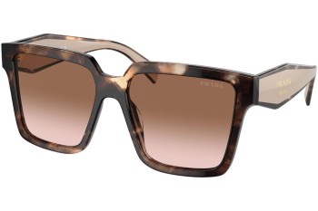 Sunglasses Prada PR24ZS 07R0A6 Quadratisch Havanna