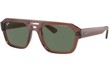 Sunglasses Ray-Ban Corrigan RB4397 667882 Flat Top Braun