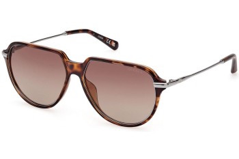 Sonnenbrille Guess GU00067 52H Polarized Pilot Havanna