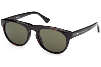 Sonnenbrille Web WE0349 52N Rund Havanna