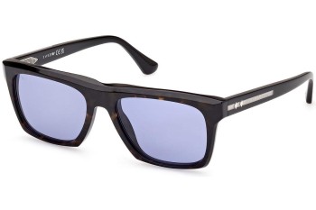 Sonnenbrille Web WE0350 56V Rechteck Havanna