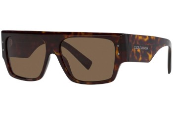 Sunglasses Dolce & Gabbana DG4459 502/73 Quadratisch Havanna