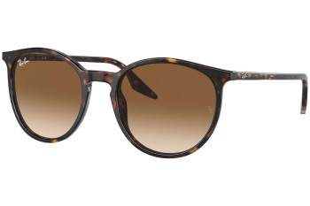 Sunglasses Ray-Ban RB2204 902/51 Rund Havanna