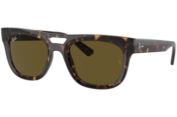 Sunglasses Ray-Ban RB4426 135973 Quadratisch Havanna