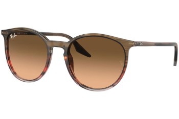 Sunglasses Ray-Ban RB2204 13953B Rund Braun