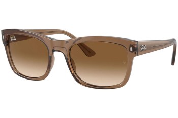 Sunglasses Ray-Ban RB4428 664051 Quadratisch Braun