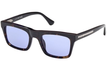 Sonnenbrille Web WE0362 56V Quadratisch Havanna