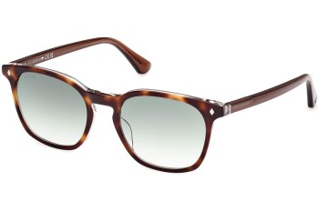 Sonnenbrille Web WE0364 56P Rund Havanna