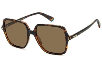 Sunglasses Polaroid PLD6219/S 086/SP Polarized Quadratisch Havanna