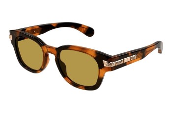 Sunglasses Gucci GG1518S 003 Rund Havanna