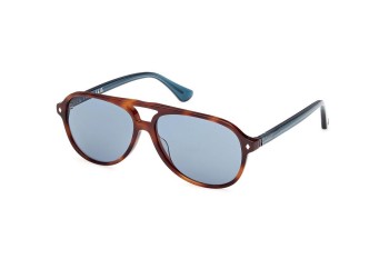 Sonnenbrille Web WE0368 56V Pilot Havanna