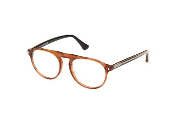 Glasses Web WE5429 047 Rund Braun