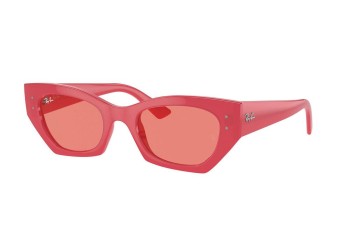 Sunglasses Ray-Ban RB4430 676084 Browline Rot