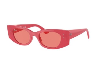 Sunglasses Ray-Ban RB4427 676084 Browline Rot