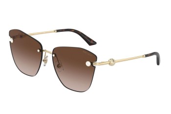 Sunglasses Jimmy Choo JC4004HB 300613 Cat Eye Gold