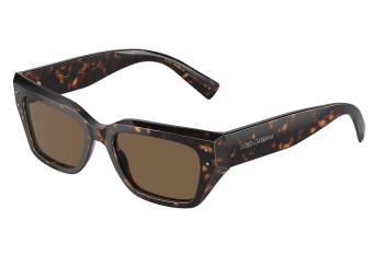 Sunglasses Dolce & Gabbana DG4462 502/73 Cat Eye Havanna