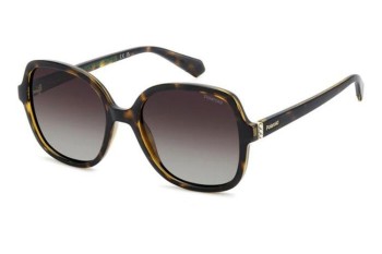 Sunglasses Polaroid PLD4177/S/X 086/LA Polarized Quadratisch Havanna