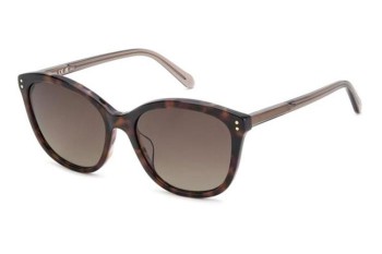 Sonnenbrille Fossil FOS2148/S 210/HA Cat Eye Havanna