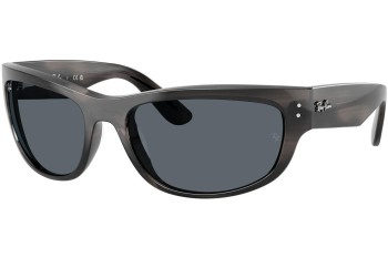 Sunglasses Ray-Ban RB2289 1404R5 Rechteck Grau