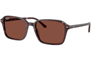 Sonnenbrille Ray-Ban RB2231 1416C5 Quadratisch Rot