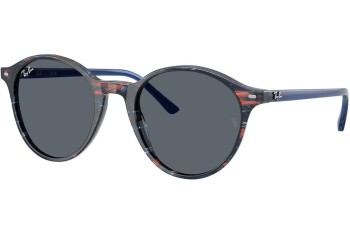 Sunglasses Ray-Ban RB2230 1420GK Rund Blau