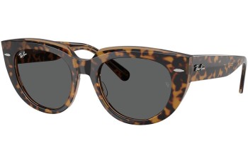 Sunglasses Ray-Ban RB2286 1292B1 Quadratisch Havanna