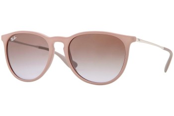 Sunglasses Ray-Ban Erika Classic RB4171 600068 Rund Braun