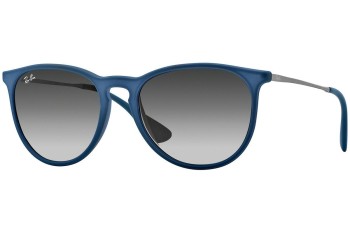 Sunglasses Ray-Ban Erika Color Mix RB4171 60028G Rund Blau