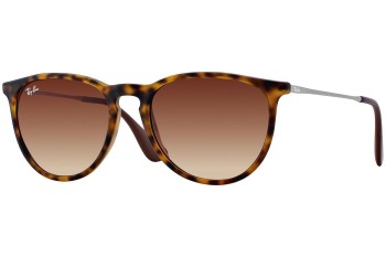 Sunglasses Ray-Ban Erika Classic Havana Collection RB4171 865/13 Rund Havanna