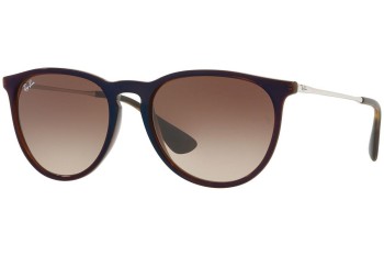 Sunglasses Ray-Ban Erika Classic RB4171 631513 Rund Braun