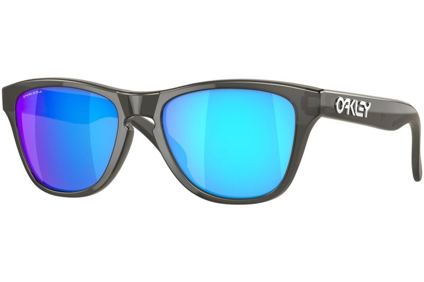 Sonnenbrille Oakley Frogskins XXS OJ9009-02 Quadratisch Grau