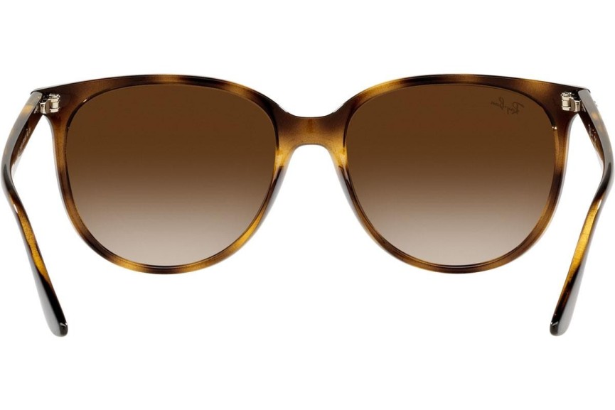 Sunglasses Ray-Ban RB4378 710/13 Quadratisch Havanna