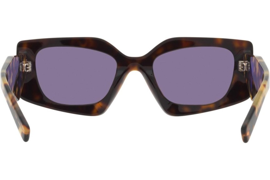 Sunglasses Prada PR15YS 2AU05Q Besondere Havanna