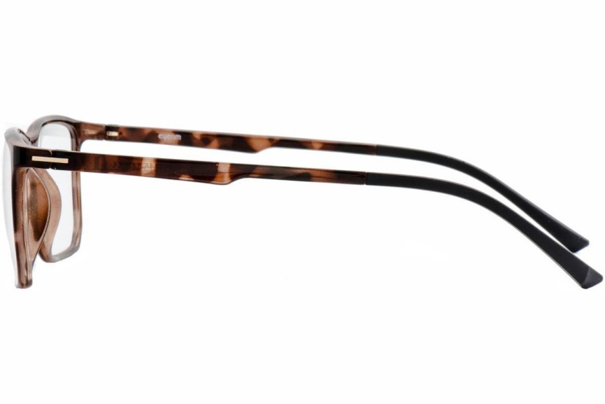 Glasses OiO by eyerim Propus Tortoise Rechteck Havanna