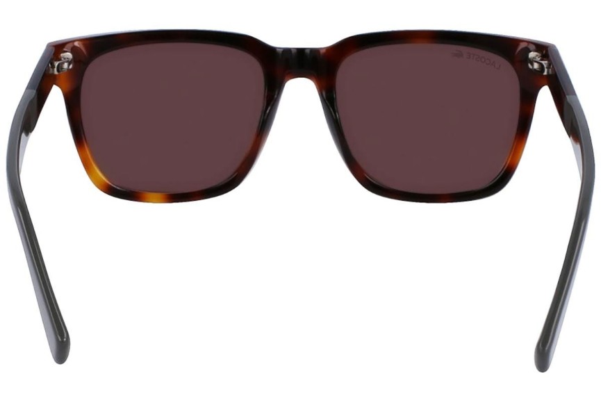 Sunglasses Lacoste L996S 214 Quadratisch Havanna