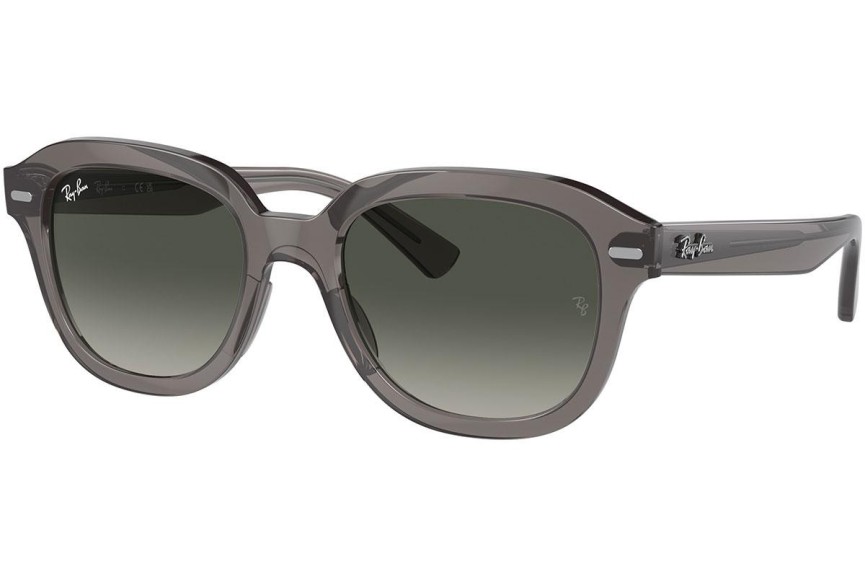 Sunglasses Ray-Ban Erik RB4398 667571 Quadratisch Grau