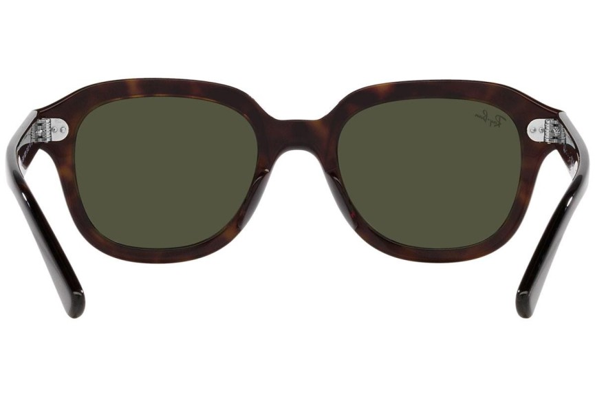 Sunglasses Ray-Ban Erik RB4398 902/31 Quadratisch Havanna