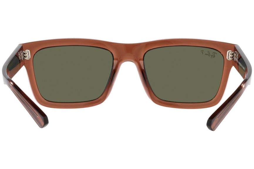 Sunglasses Ray-Ban Warren RB4396 66789A Rechteck Braun