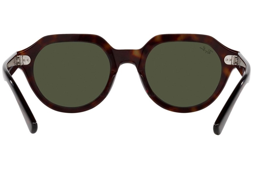 Sunglasses Ray-Ban Gina RB4399 902/31 Quadratisch Havanna