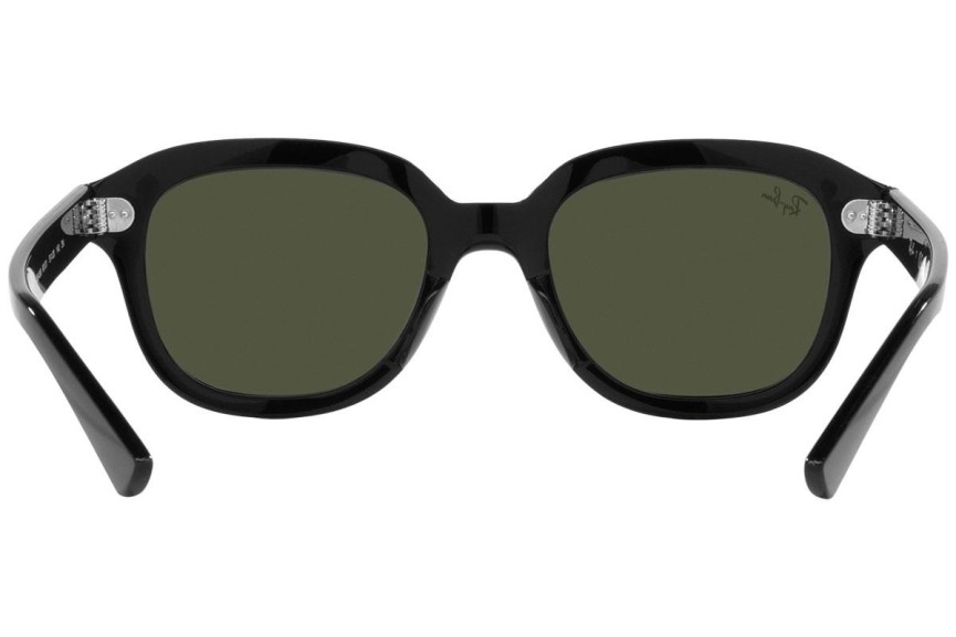 Sunglasses Ray-Ban Erik RB4398 901/31 Quadratisch Schwarz