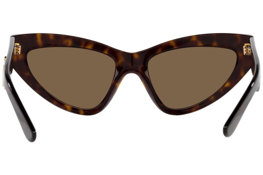 Sonnenbrille Dolce & Gabbana DG4439 502/73 Cat Eye Havanna