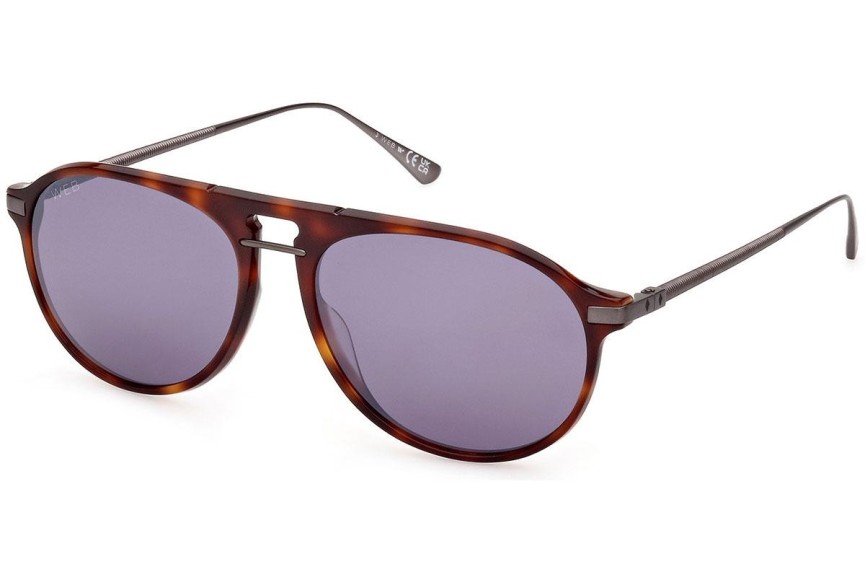 Sunglasses Web WE0345 52A Pilot Havanna