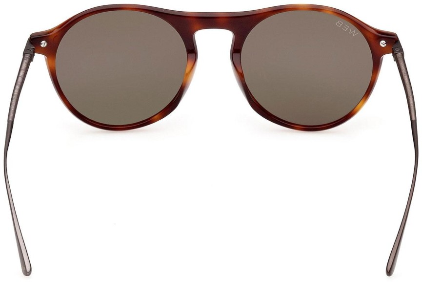 Sunglasses Web WE0346 52N Rund Havanna